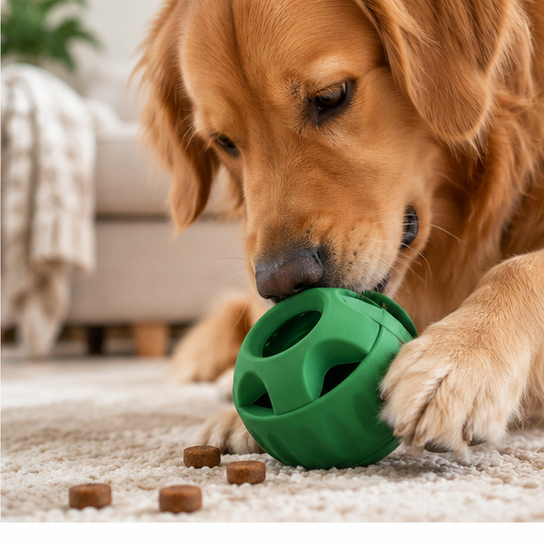 Dog playing with TreatOrb Interactive Snack Ball